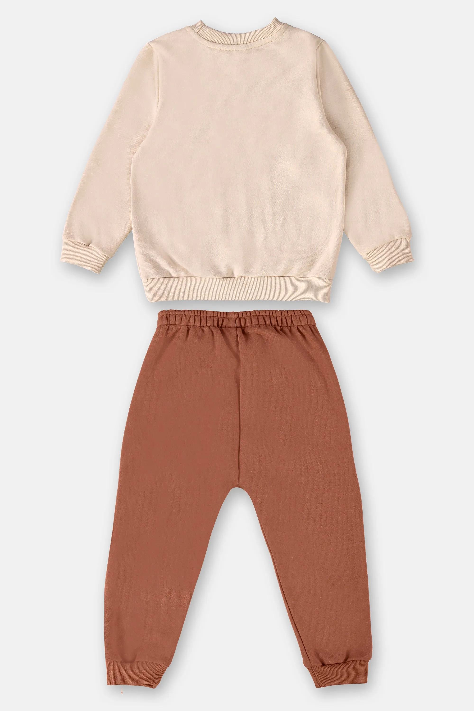 2 Piece Boys Puppy Sweatshirt & Pants